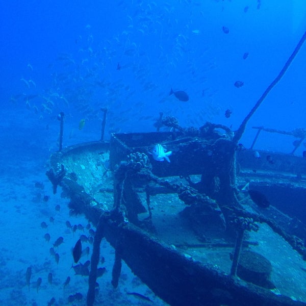 Photo taken at Atlantis Submarines Maui by Sam D. on 7/12/2014