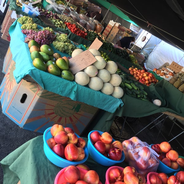 Are Dogs Allowed At The Galt Flea Market