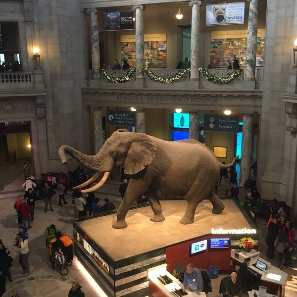 Kenneth E. Behring Family Rotunda - Smithsonian's National Museum of ...