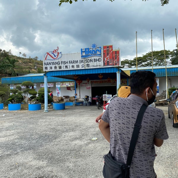 南洋鱼场 Nanyang Fish Farm 1 Tip