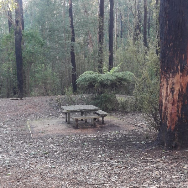Kinglake National Park Kinglake VIC