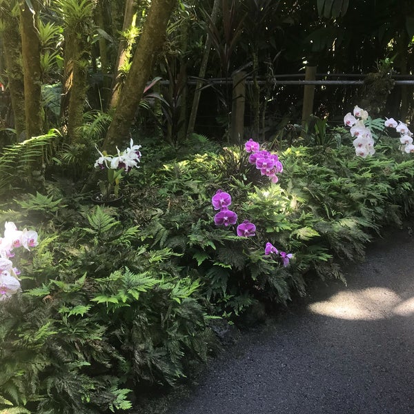 6/10/2019 tarihinde Daisy P.ziyaretçi tarafından Hawaii Tropical Botanical Garden'de çekilen fotoğraf