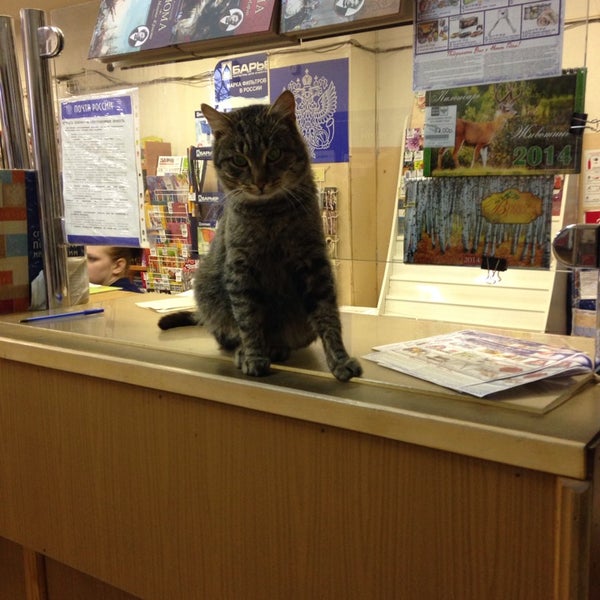 ступино почта режим работы. ступино почта режим работы. 142803 почтовое отделение. почта россии ступино. ступино почта режим работы.