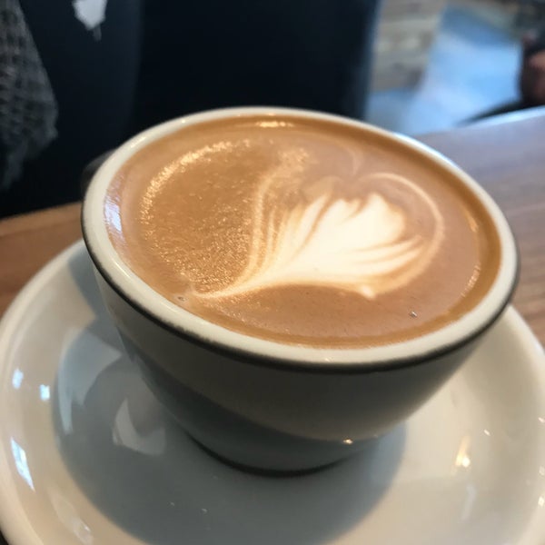 Tamp Coffee Co Coffee Shop in Burlington