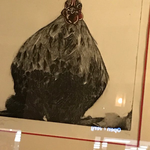 Le coq top islington closed