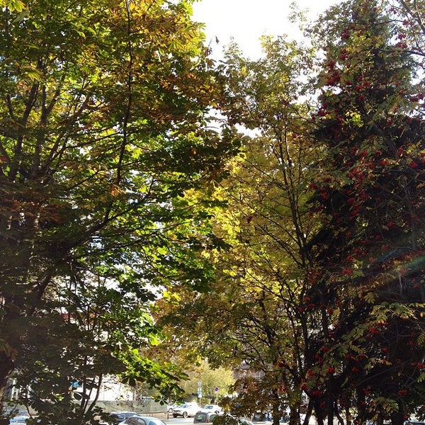 Нью лайн телеком телефон. New line telecom. Нью лайн телеком логотип. New line telecom. Нью лайн телеком.