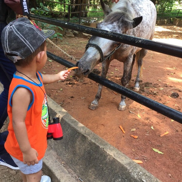 Photo taken at Zoo Melaka by TiraJamil on 5/3/2019