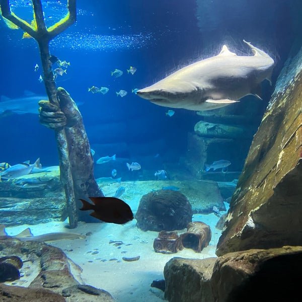 Foto scattata a Long Island Aquarium &amp; Exhibition Center (Atlantis Marine World) da Edward E. il 9/9/2021