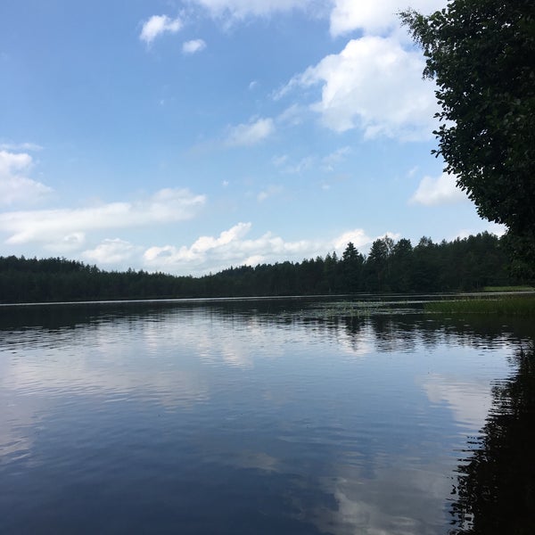 Озеро Лесное Нестеровского района