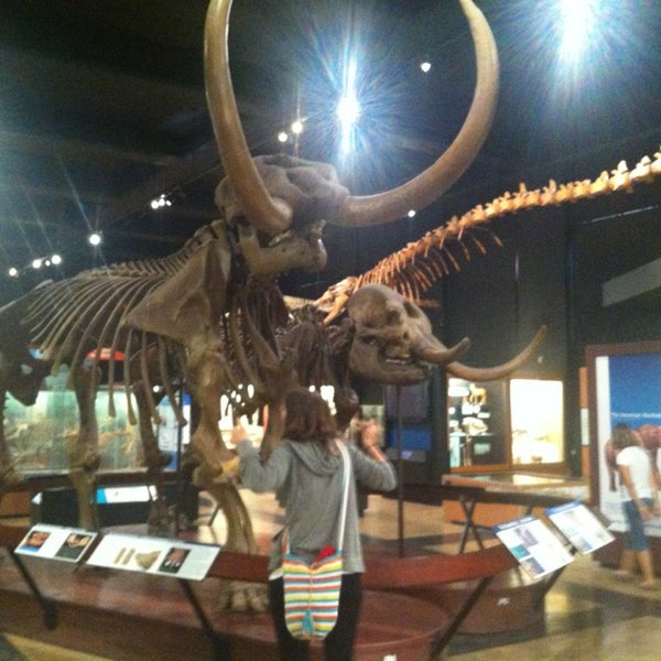 Photo taken at University of Michigan Museum of Natural History by Javier L. on 7/27/2013