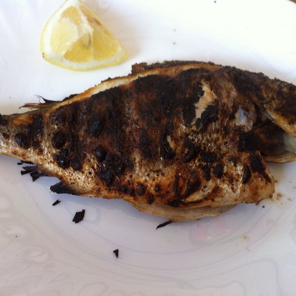 Photos à Flouka La Goulette, Tunis