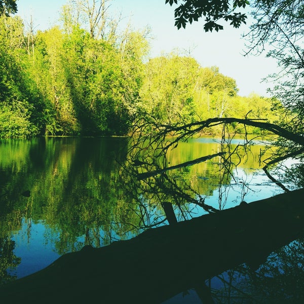 MintoBrown Island City Park Minto Island Rd.