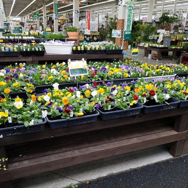 Fotos En ホームセンターコーナン 草津店 Ferreteria Fotos En ホームセンターコーナン 草津店 Ferreteria