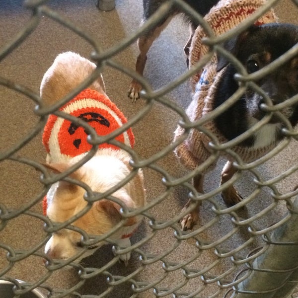 Photos at Burlington County Animal Shelter - Mount Holly, NJ Photos at Burlington County Animal Shelter - Mount Holly, NJ