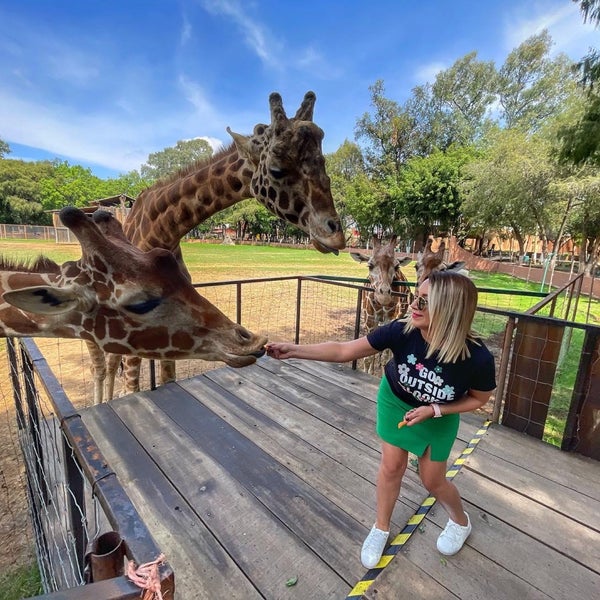 Parque Zoologico Benito Juárez Morelia, Michoacán de Ocampo