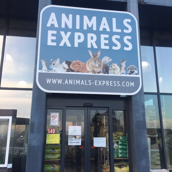 Dog and sale cat co