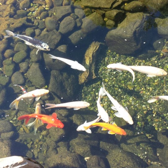 Royal Car Wash & Lube Wayne, NJ