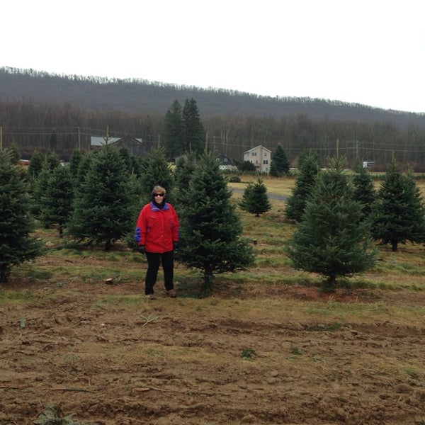Kuhns Tree Farm Boalsburg Pa