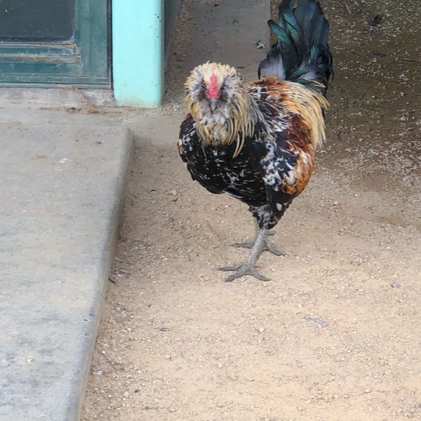 Yuba City DMV Office 8 tips from 163 visitors