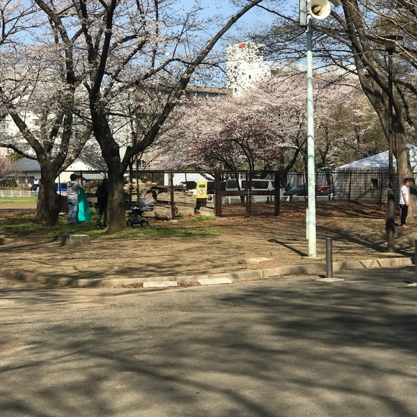 Photos At 赤塚公園 バーベキュー広場 Campground In 板橋区 Photos At 赤塚公園 バーベキュー広場 Campground In 板橋区