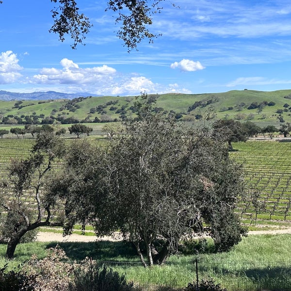 3/17/2024 tarihinde Mujde N.ziyaretçi tarafından Firestone Vineyard &amp; Winery'de çekilen fotoğraf