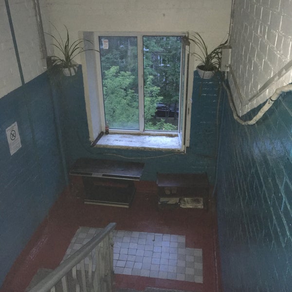 Чижик долгопрудная ул 11а фото