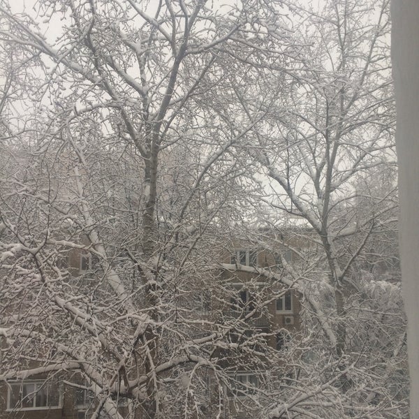 Чижик долгопрудная ул 11а отзывы