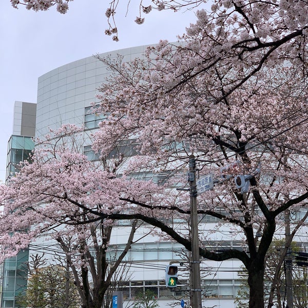 ウェルネスさがみはら 相模原 157 Visitors