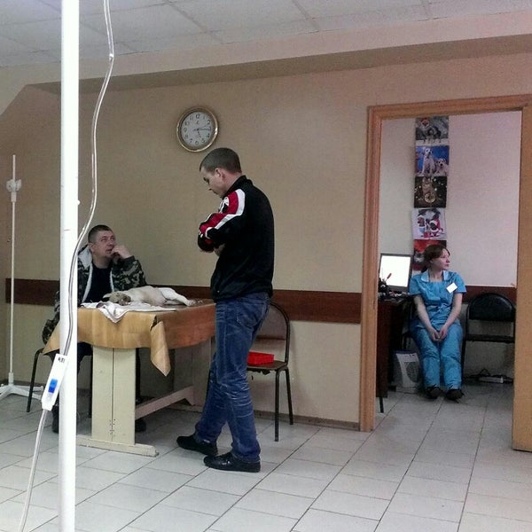 ветдоктор ветеринарная клиника. ветдоктор 31. ветдоктор белгород корочанская. ветдоктор белгород корочанская 361. медвед 31 ветклиника белгород.