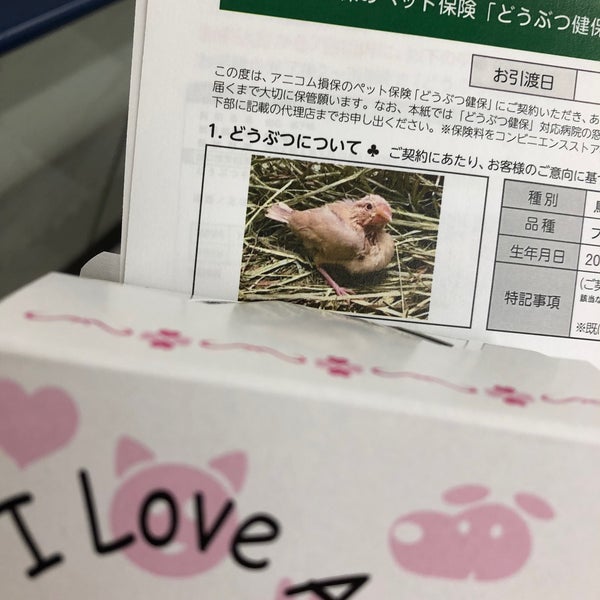 ペットプラザ 本羽田萩中店 蒲田 本羽田2 3 1