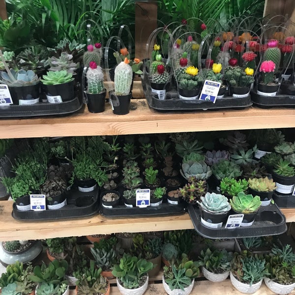 Lowe's Kanawha City 4 tavsiye