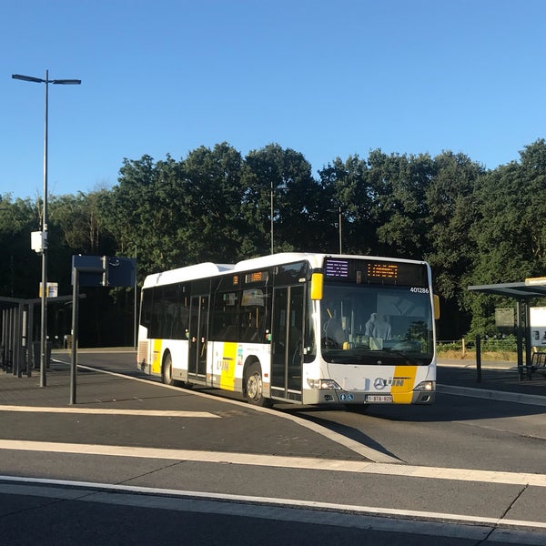 Opvoeding Bad Gevoelig Bus 58 Beringen - Lommel