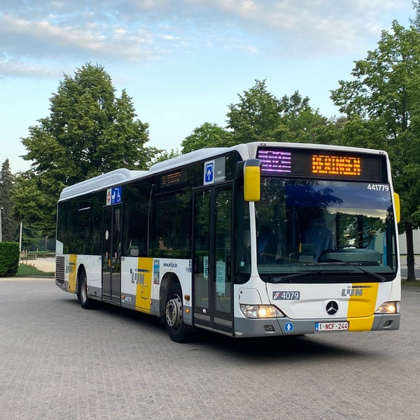 bescherming diameter naam Photos at Bus 58 Lommel - Beringen