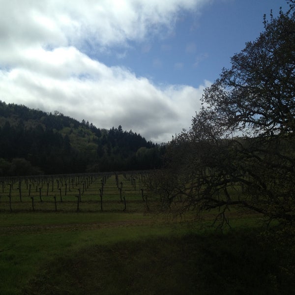 Photo taken at Yamhill Valley Vineyards by J. M. on 4/19/2013