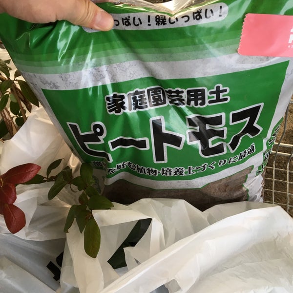 ジョイフル本田 ガーデンセンター 市原店 Floreria En 市原市 ジョイフル本田 ガーデンセンター 市原店 Floreria En 市原市