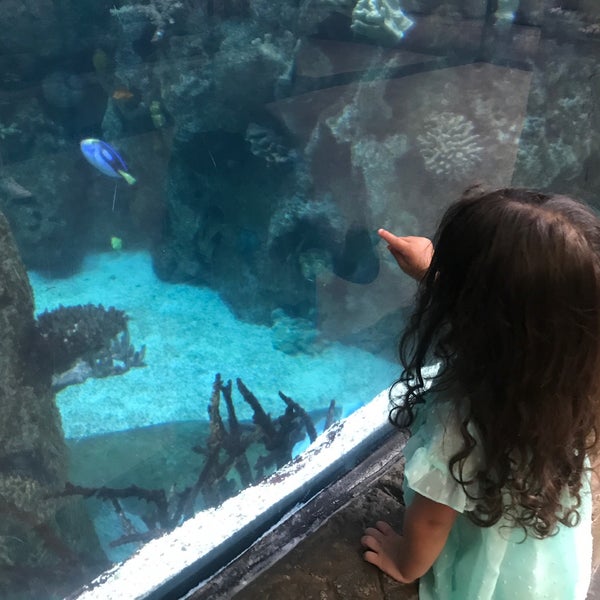 Photo taken at Shark Reef Aquarium by Erica d. on 6/1/2019