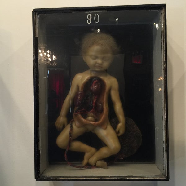 Photo taken at Morbid Anatomy Museum by 飛 on 4/13/2016