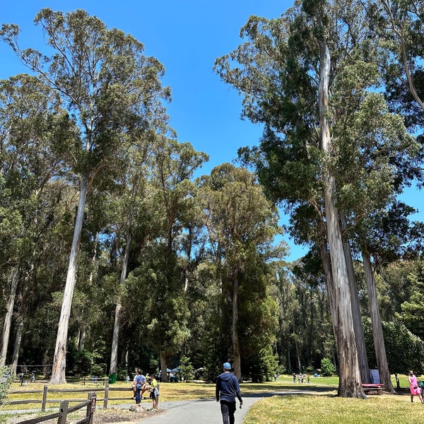 Kennedy Grove Regional Recreation Area Park in El Sobranto