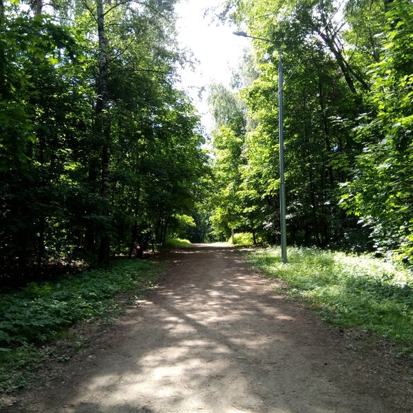 Парк 12 лучей в кузьминках