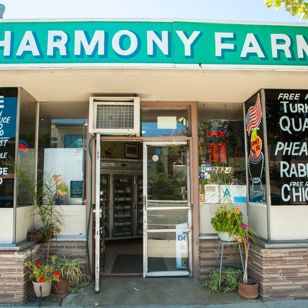 8/14/2017にHarmony FarmsがHarmony Farmsで撮った写真