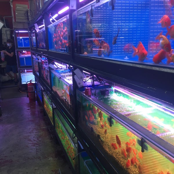 Kedai Aquarium Sa Fish World No 7 Jln Tukul P15 P