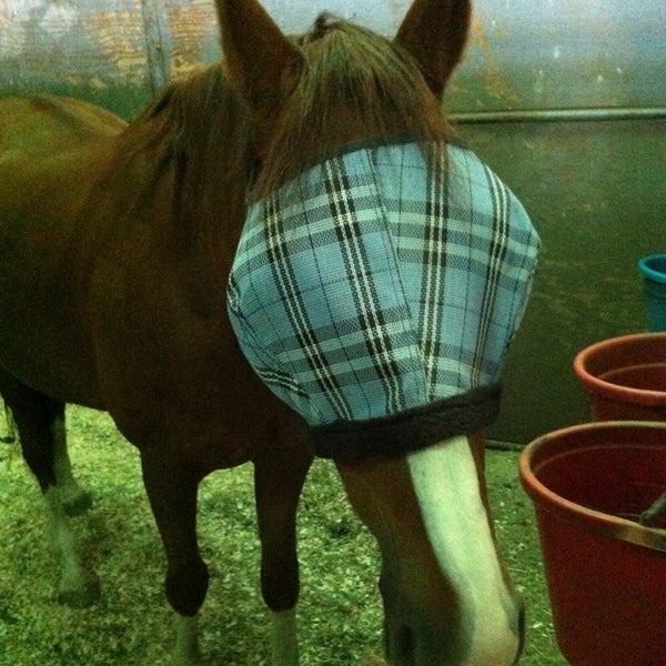 Hobby Horse Farms Longmont, CO