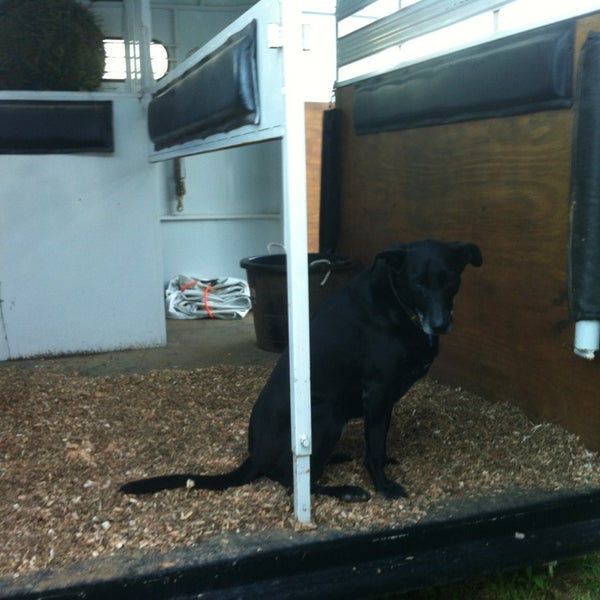 Hobby Horse Farms Longmont, CO