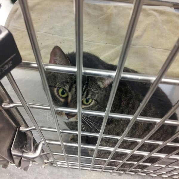 Photos at PetSmart East Louisville Louisville, KY