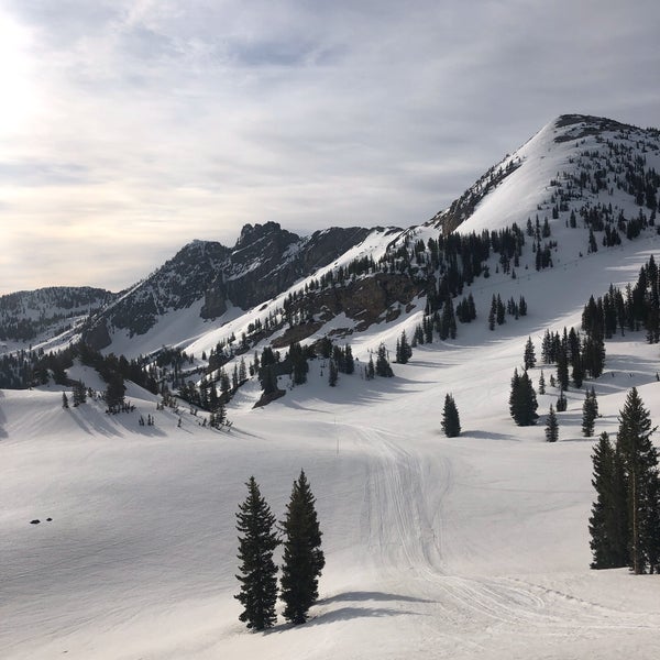 5/6/2020 tarihinde Olivia J.ziyaretçi tarafından Alta Ski Area'de çekilen fotoğraf