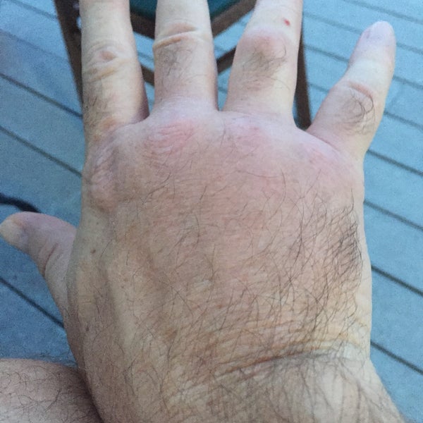 Lowe's Market Bandera, TX