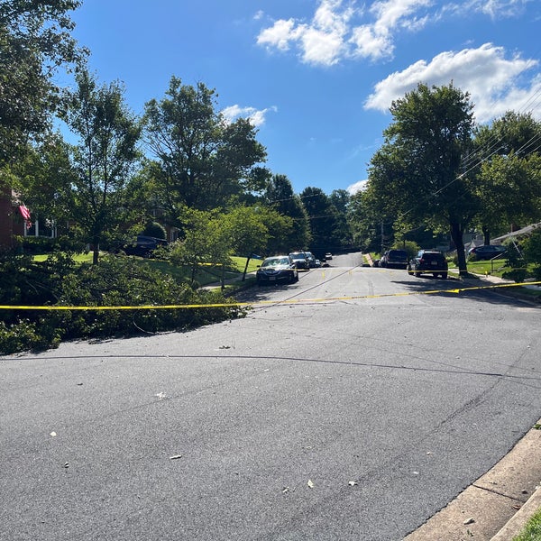 Madison Manor Park Arlington, VA