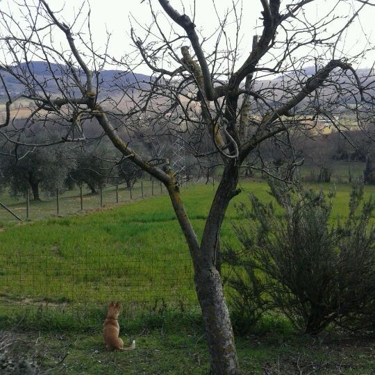 Photo taken at Agriturismo Antica Sosta by Stefano N. on 2/17/2013