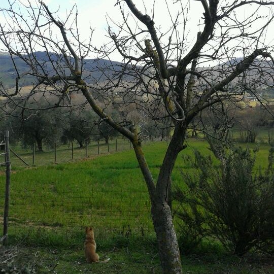 2/17/2013 tarihinde Stefano N.ziyaretçi tarafından Agriturismo Antica Sosta'de çekilen fotoğraf