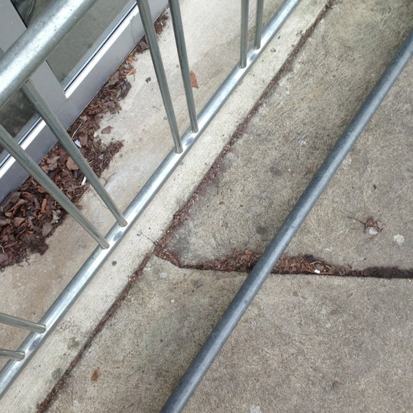 Pro Bikes LLC Squirrel Hill South 5876 Forbes Ave